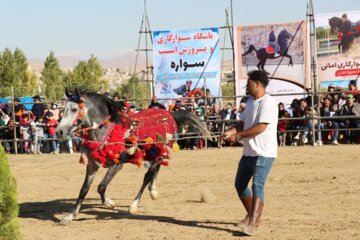 جشنواره اسب اصیل کردی در بوکان