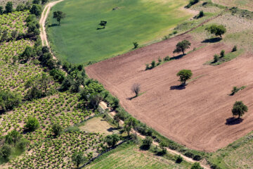 طبیعت زیبای بهاری بدرانلو