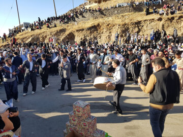 جشنواره آلو و پخت غذاهای محلی روستای حیدره قاضی خانی