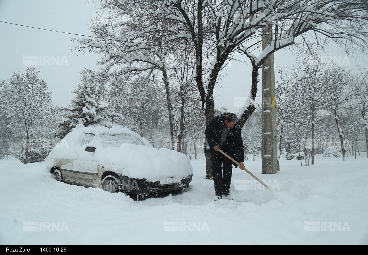 بارش برف زمستانی در اردبیل