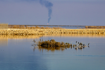 «شط‌علی»