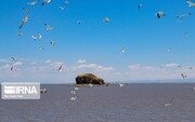 Urmia Lake revitalization in last stage