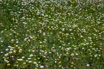 Balades et randonnées en pleine nature dans le nord de l’Iran 