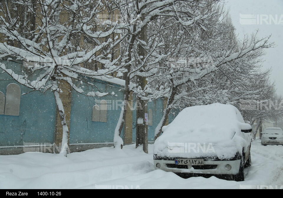 بارش برف زمستانی در اردبیل