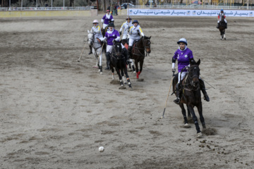 Liga Nacional de Polo en Irán