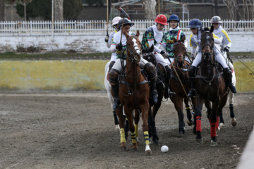 Liga Nacional de Polo en Irán