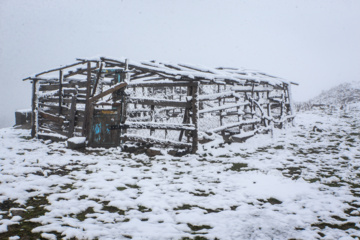 Iran : chutes de neige sur les hauts plateaux du Guilan au nord