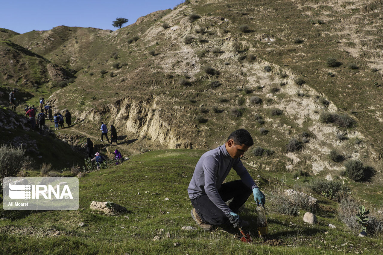 هدفگذاری کاشت یک‌هزار و ۲۰۰ هکتار بذر بادام کوهی در استان مرکزی