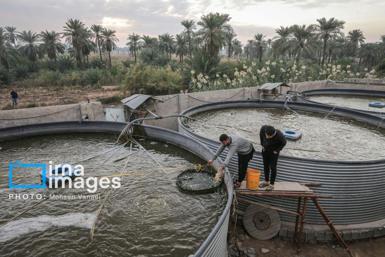 طرح‌های اشتغال‌زایی در خوزستان