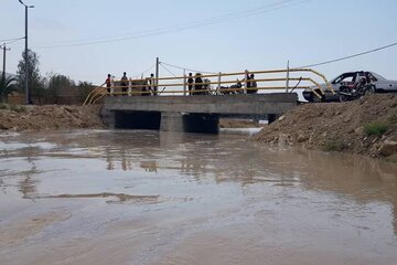 خنکای امید با بارش‌های تابستانی در برخی مناطق لارستان 