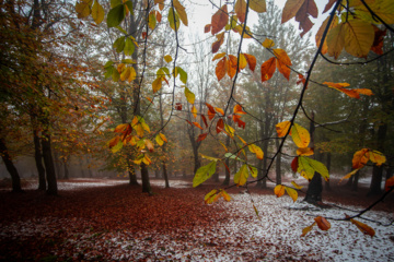 Nieve otoñal en Mazandarán