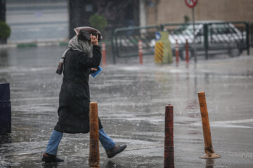 بارش باران در تهران