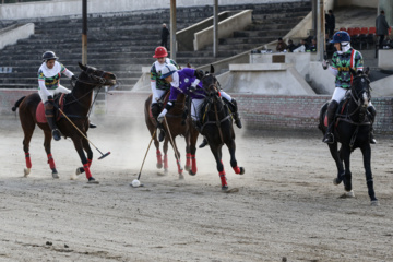 Coupe Lotus de la Ligue Nationale de polo