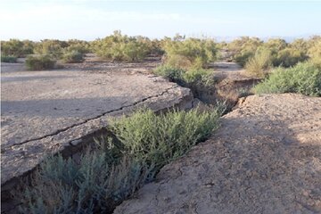 احیای زاینده‌رود راهکار اساسی رفع بحران فرونشست زمین در اصفهان است