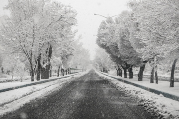 Caída de nieve otoñal en Tabriz