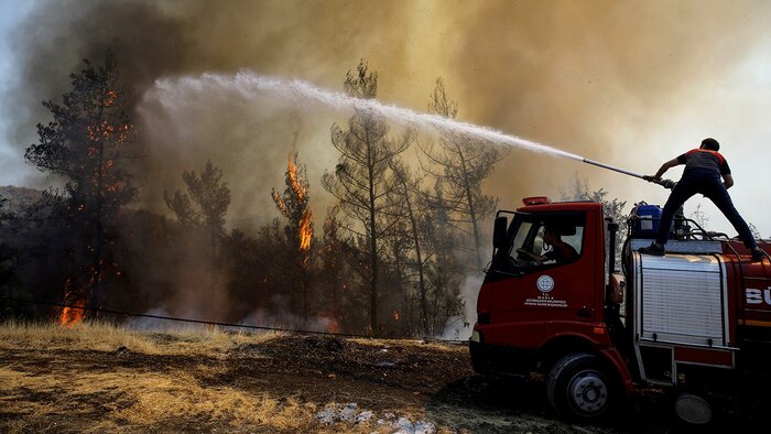 آتش سوزی جنگل‌ها پوتین را به تکاپو واداشت 