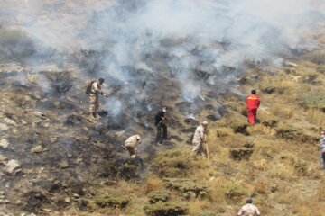 آتش سوزی کوه «کرک بناری» شهرستان چرام دوباره شعله ور شد