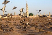 برتری علمی امام صادق (ع) مورد تایید همه مذاهب است