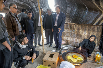 جشنواره شکرانه محصول انار شهرستان پاوه