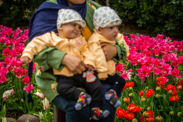 Fiesta de tulipanes en el Jardín Iraní