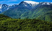 اسناد ۳۱ هکتار از اراضی ملی جنگلی کلاردشت به نام منابع طبیعی صادر شد