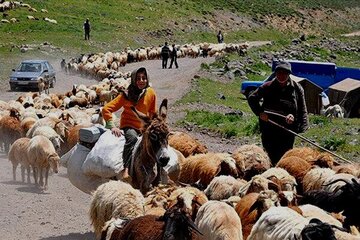 کوچ زودهنگام عشایر به چهارمحال و بختیاری ممنوع اعلام شد