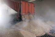 دستور قضایی برای صف‌ کامیون‌های گندم در اُرزوئیه کرمان