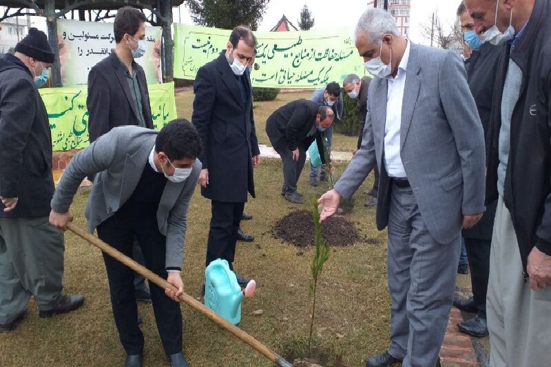 ۲ هزار اصله نهال در اشنویه توزیع و غرس می‌شود