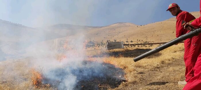 سنندج - ایرنا - فرمانده یگان حفاظت منابع طبیعی و آبخیزداری کردستان گفت:...