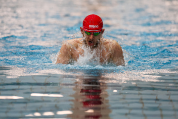 Des compétitions de natation à Téhéran 