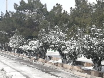 برف و بوران زمستانی و سفیدپوش شدن دامغان