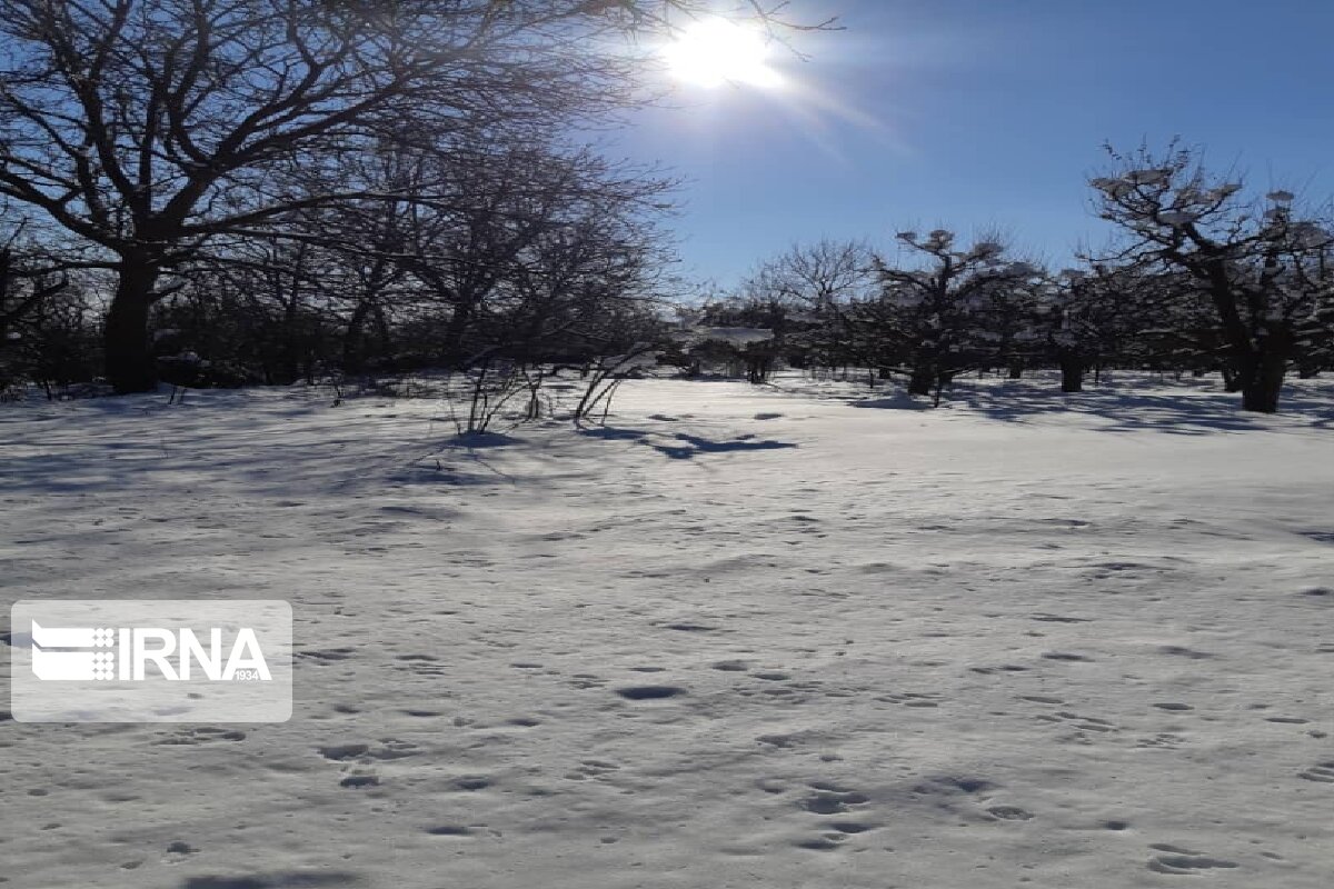 برف، باران، باد و کولاک زنجان را فرا می‌گیرد