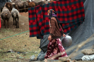 زندگی عشایر در مراتع همدان