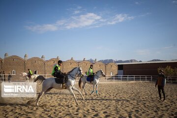 Endurance riding competition in Iran