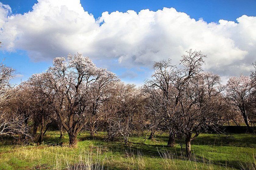 مستند ماریان، سندی ماندگار از میراث هزار ساله قزوین برای آیندگان