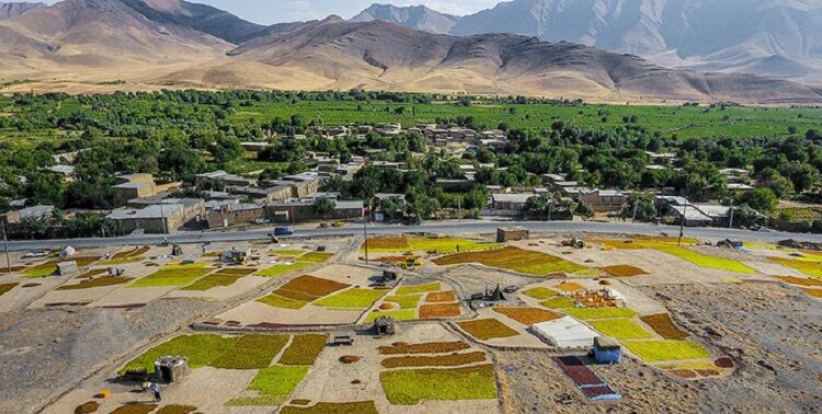 امتداد گردشگری ایران در مسیر تاکستان‌های جهانی ملایر