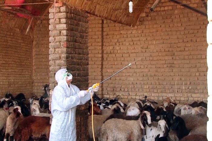 گیلان؛ طنین سلام فرمانده تا همواره شدن ریل ثبت جهانی ماسوله