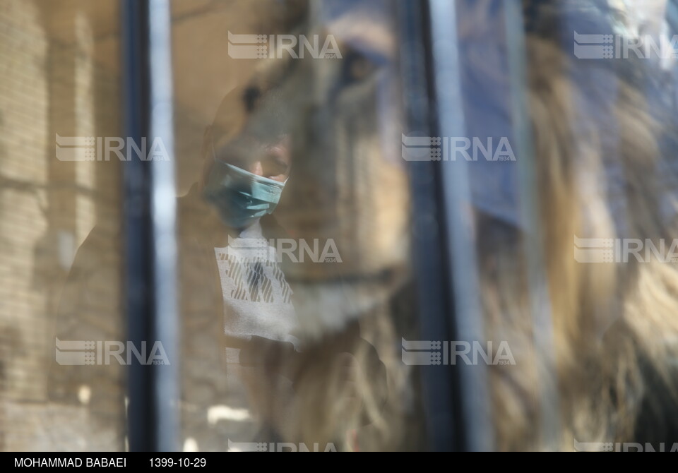 بازگشایی باغ وحش ارم تهران