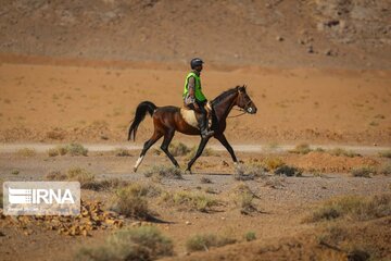 Endurance riding competition in Iran