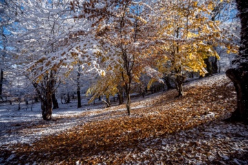 بارش برف پاییزی در گلستان