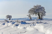 Snowy day in last days of winter in Iran