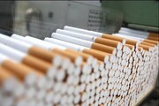 قاچاقچی سیگار در همدان بیش از هفت میلیارد تومان جریمه شد