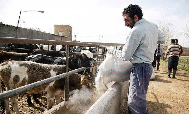 دادستان: مشکلات دامداران مهریز پیگیری می‌شود