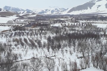 زیبایی‌های برف در مناطق روستایی میاندوآب‌