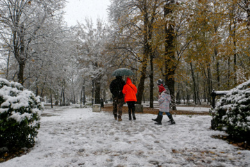 Iran-décembre 2024 : chutes de neige d’automne à Rasht au nord (Photo : Mojtaba Mohammadi)