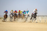 Aqqala horseback riding competitions