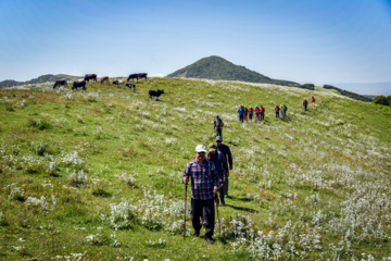 Balades et randonnées en pleine nature dans le nord de l’Iran 