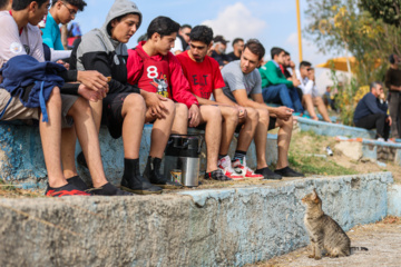 مسابقات لیگ کانوپولو مردان