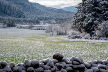 Hiver 2025: nature enneigée des hauteurs de la province de Golestan au nord de l'Iran