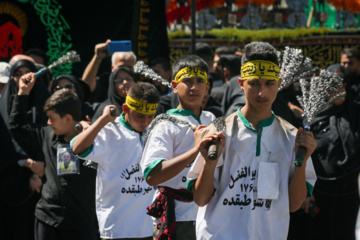 Mar de fieles llora en Mashad el martirio del octavo Imam de los chiíes